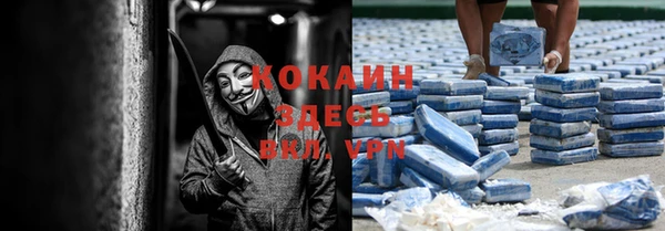 мдпв Козельск