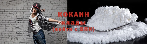 мдпв Козельск