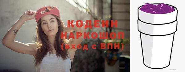 мдпв Козельск