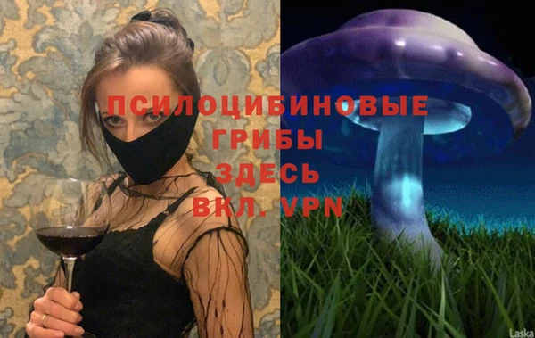 мдпв Козельск