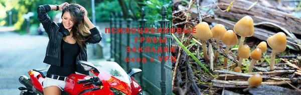 Альфа ПВП Кодинск