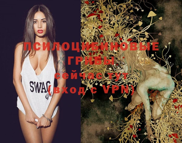 MDMA Козловка